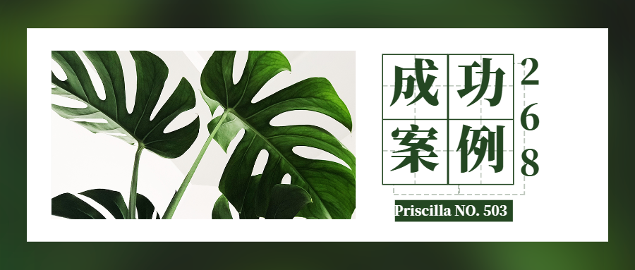 暂无图片